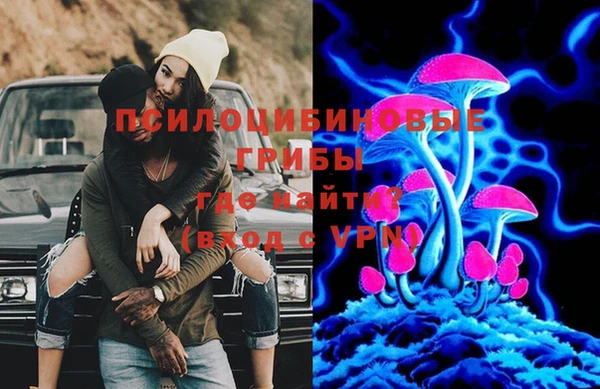 спиды Армянск