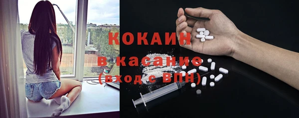 ешки Аркадак
