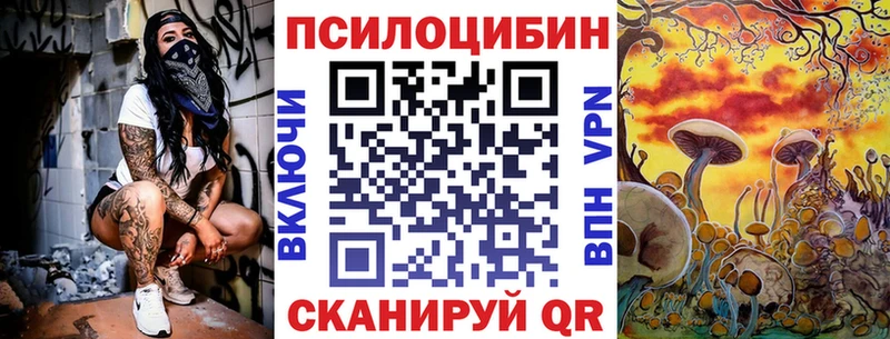 Псилоцибиновые грибы Psilocybe  купить   Боровичи 