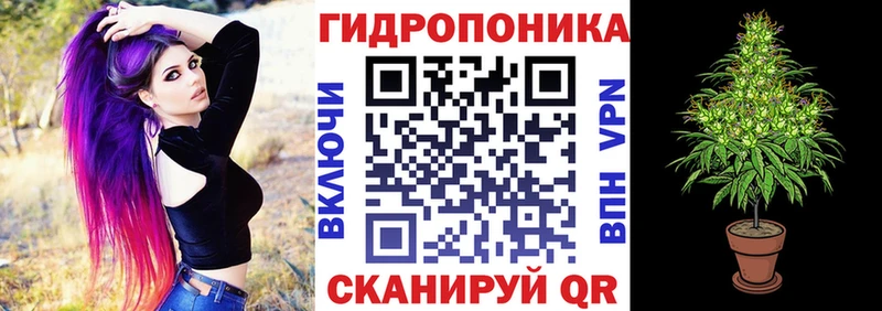 наркота  Боровичи  Конопля план 